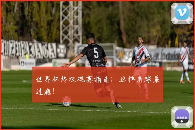 世界杯终极观赛指南:这样看球最过瘾!