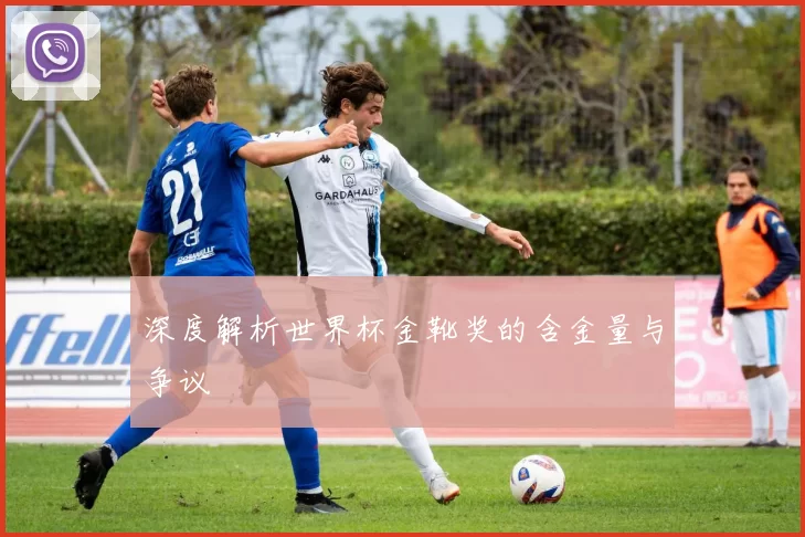 深度解析世界杯金靴奖的含金量与争议
