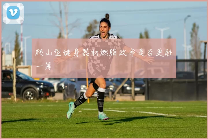 爬山型健身器材燃脂效率是否更胜一筹