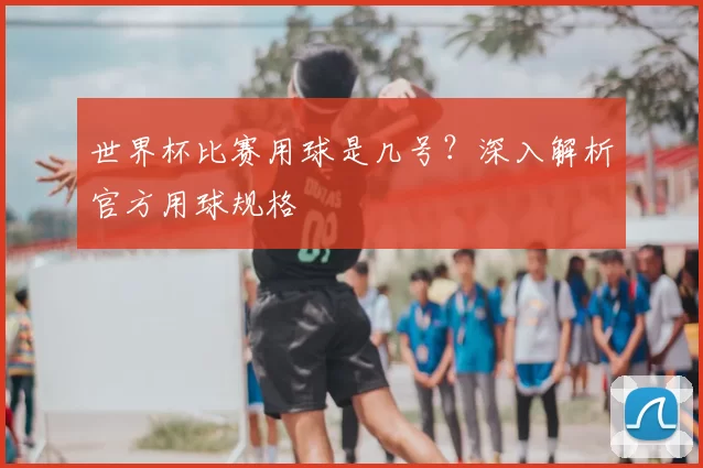 世界杯比赛用球是几号?深入解析官方用球规格
