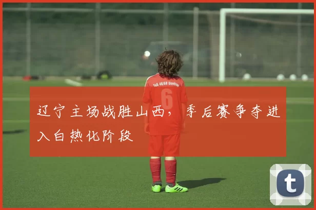 辽宁主场战胜山西，季后赛争夺进入白热化阶段