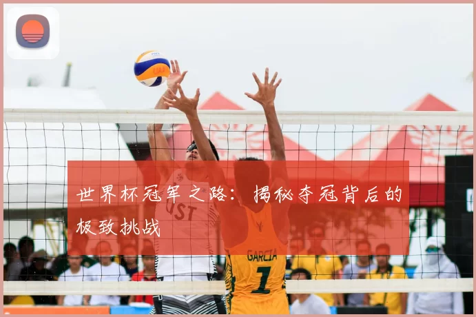 世界杯冠军之路:揭秘夺冠背后的极致挑战