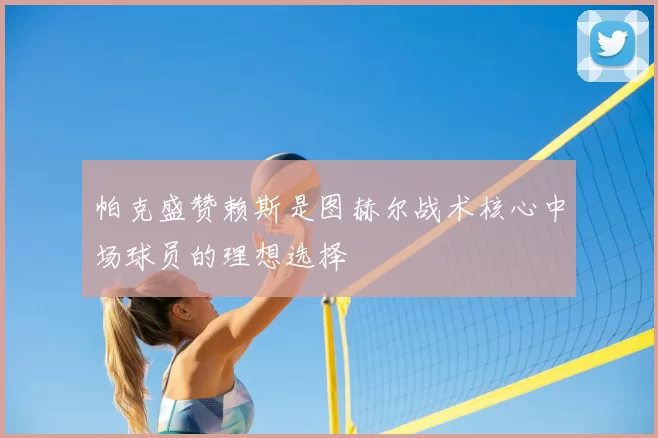 帕克盛赞赖斯是图赫尔战术核心中场球员的理想选择