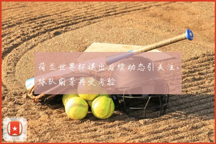 荷兰世界杯退出后续动态引关注,球队前景再受考验