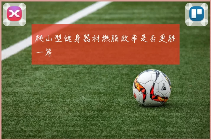 爬山型健身器材燃脂效率是否更胜一筹