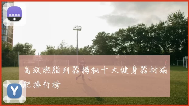 高效燃脂利器揭秘十大健身器材减肥排行榜