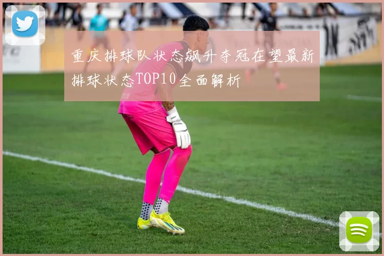 重庆排球队状态飙升夺冠在望最新排球状态TOP10全面解析