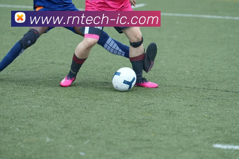 篮球下注APP 封面图